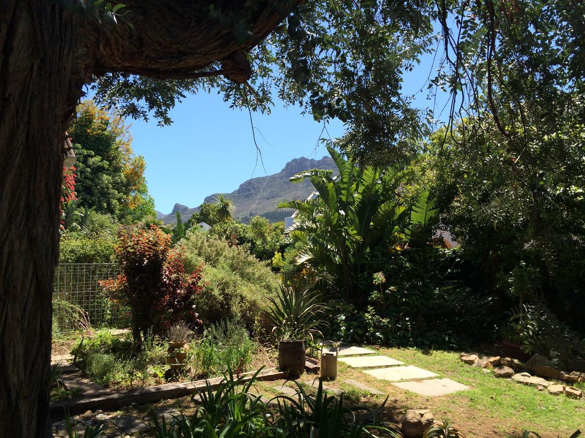 Constantia Guest House Cape Town Dış mekan fotoğraf